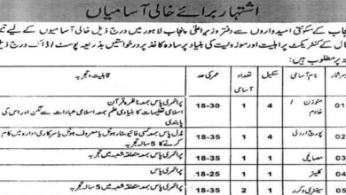 Services & General Administration Department Lahore Vacancies Notice 2024