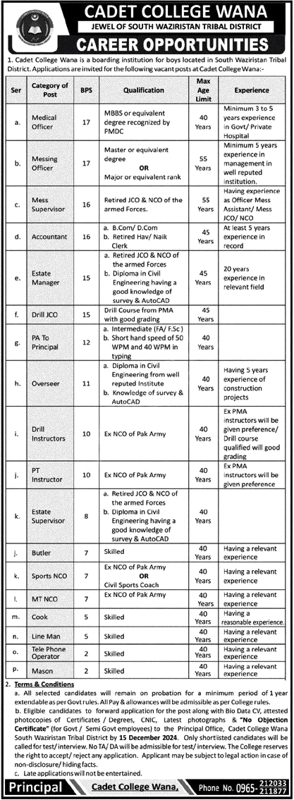 BPS-02 To BPS-17 Vacancies Notice Cadet College 2024