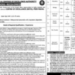 Punjab Daanish Schools & Center Of Excellence Authority Jobs Notice 2024