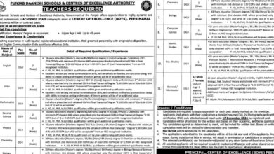 Punjab Daanish Schools & Center Of Excellence Authority Jobs Notice 2024