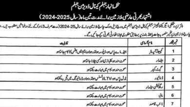 Punjab Irrigation Department Jhelum Jobs Notice 2024