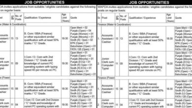 WAPDA Lahore Jobs Notice 2024