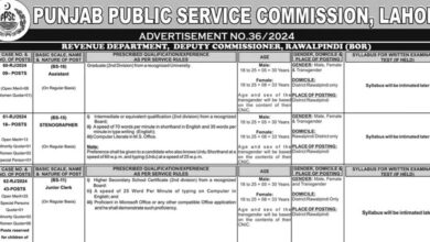 PPSC Jobs Notification Out 2024