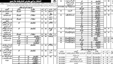 Health Department Dera Bugti Jobs Notice 2024