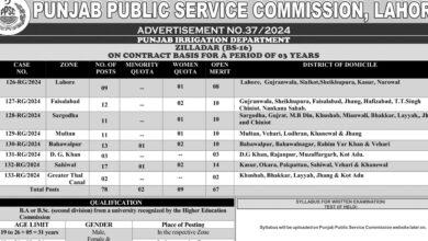 Punjab Irrigation Department Latest Jobs 2024