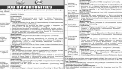 WAPDA Lahore Latest Vacancies Advertisement Notification Out 2024