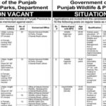 Punjab Wildlife & Parks Department Lahore Jobs 2024