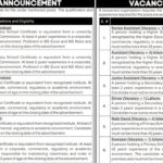 Public Sector Organization Islamabad Jobs 2024