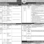 Punjab Public Service Commission PPSC Lahore Jobs 2024