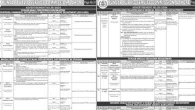 Punjab Public Service Commission PPSC Lahore Jobs 2024