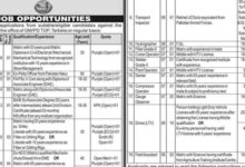 WAPDA Latest Career Opportunities 2025