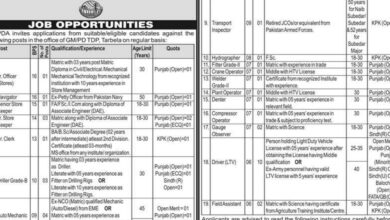 WAPDA Latest Career Opportunities 2025