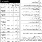 Punjab Police Department Lahore Latest Jobs 2025