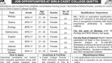 Girls Cadet College Quetta Jobs Notification Out 2025