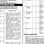 Tourism Archaeology & Museum Department Lahore Jobs Notice 2025