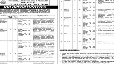 Tourism Archaeology & Museum Department Lahore Jobs Notice 2025