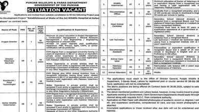 Punjab Wildlife & Parks Department Lahore Jobs Notice 2025