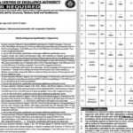 Punjab Daanish Schools & Center Of Excellence Authority Jobs Notice 2025