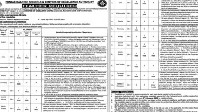 Punjab Daanish Schools & Center Of Excellence Authority Jobs Notice 2025