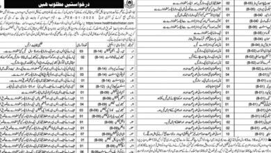 Bolan Medical Complex Hospital Quetta Jobs 2025