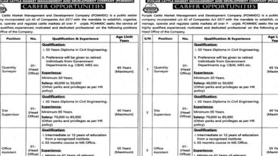 Punjab Cattle Market Management & Development Company Jobs 2025