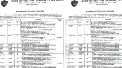 Punjab University of Technology Rasul Mandi Bahauddin Jobs 2025