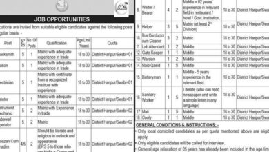 WAPDA Jobs Notification Out January 2025